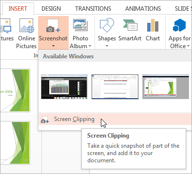 powerpoint for mac insert screen shot 14